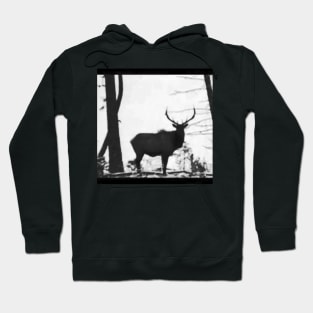 Rocky Mountain Elk Hoodie